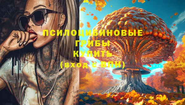 spice Арсеньев