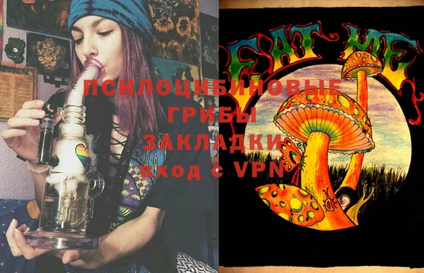 spice Арсеньев